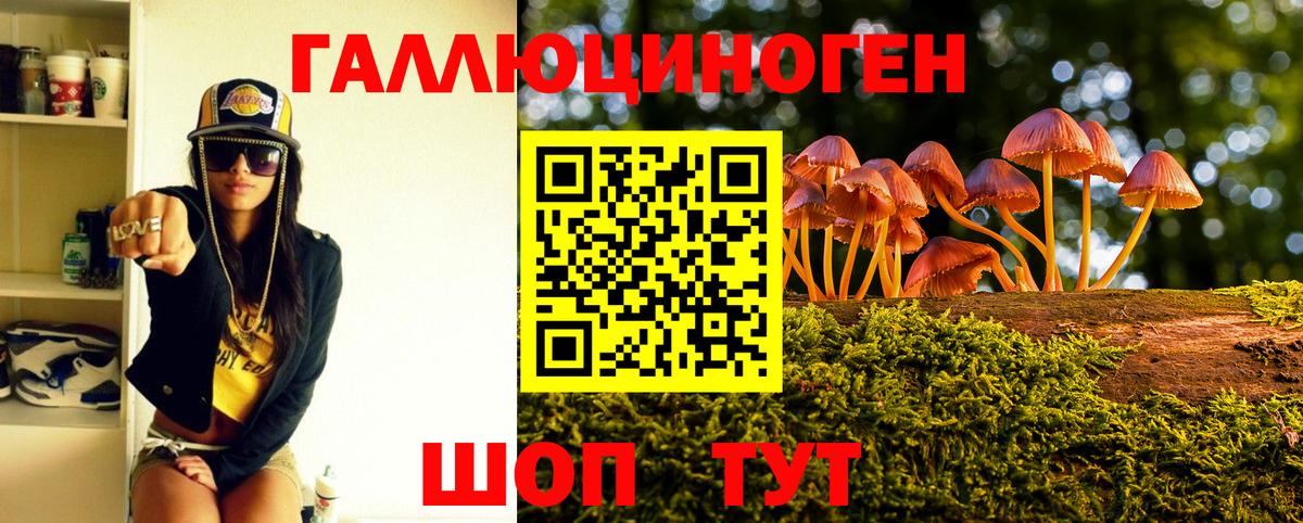 Кемерово  Псилоцибиновые грибы Cubensis  Вход с VPN 